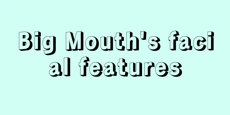 Big Mouth's facial features