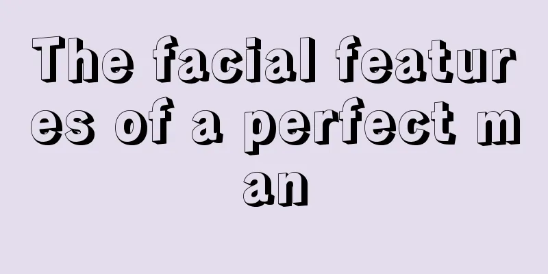 The facial features of a perfect man