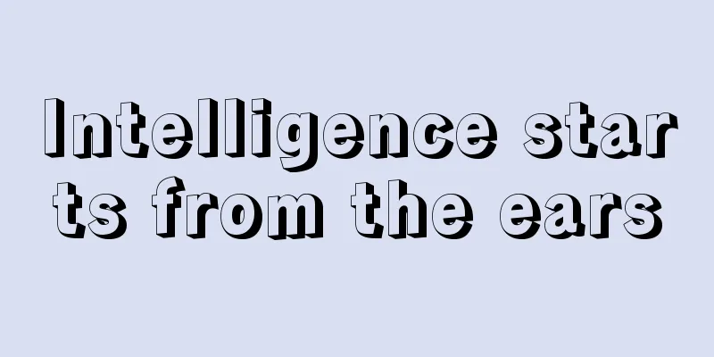 Intelligence starts from the ears