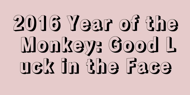 2016 Year of the Monkey: Good Luck in the Face