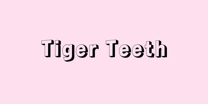 Tiger Teeth