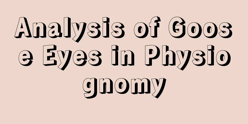 Analysis of Goose Eyes in Physiognomy