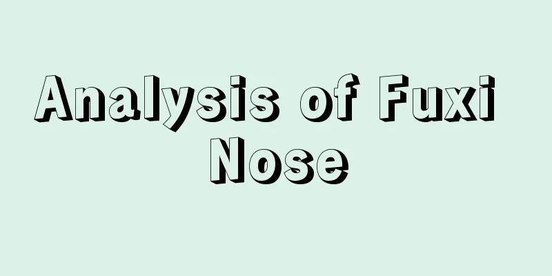Analysis of Fuxi Nose