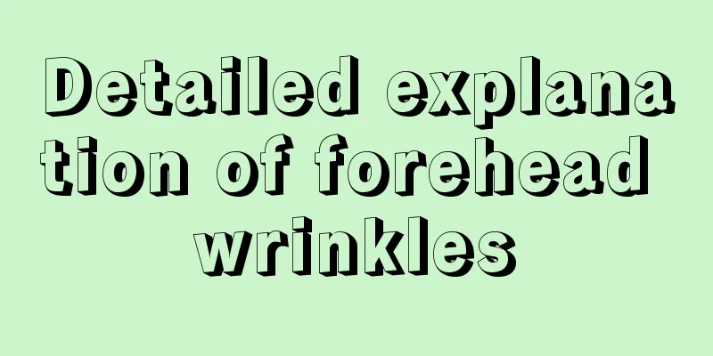 Detailed explanation of forehead wrinkles