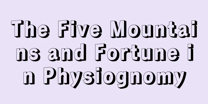 The Five Mountains and Fortune in Physiognomy