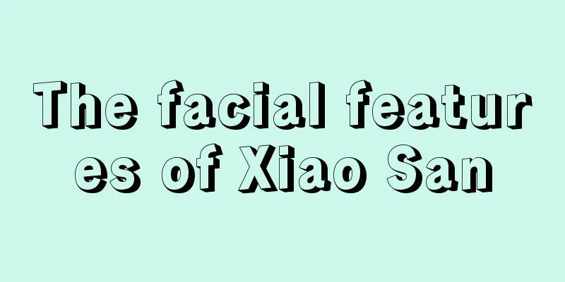 The facial features of Xiao San