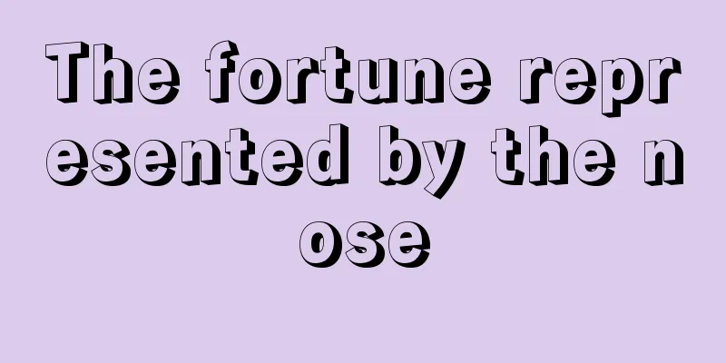 The fortune represented by the nose