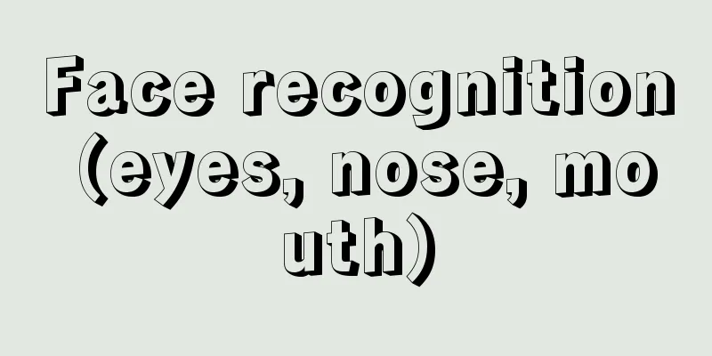 Face recognition (eyes, nose, mouth)