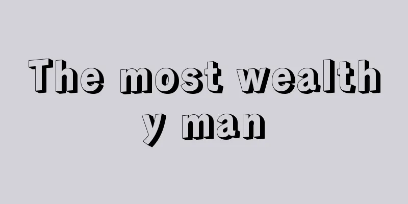 The most wealthy man