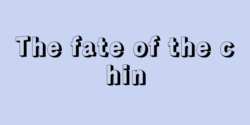 The fate of the chin