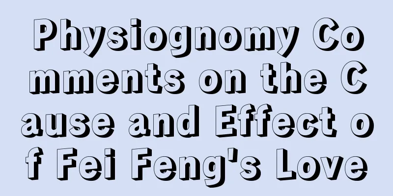 Physiognomy Comments on the Cause and Effect of Fei Feng's Love