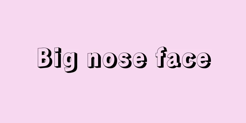 Big nose face