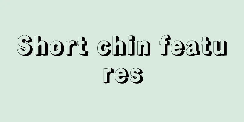 Short chin features