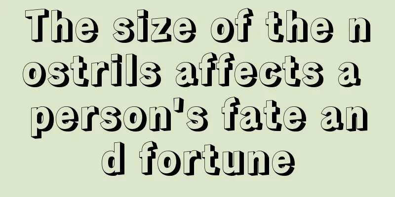 The size of the nostrils affects a person's fate and fortune