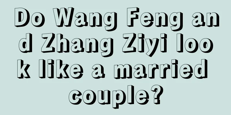 Do Wang Feng and Zhang Ziyi look like a married couple?
