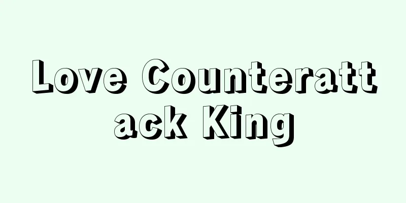 Love Counterattack King