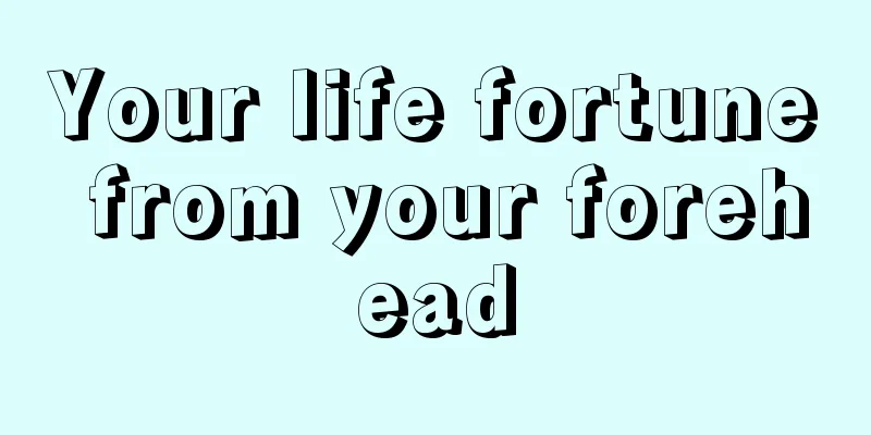 Your life fortune from your forehead