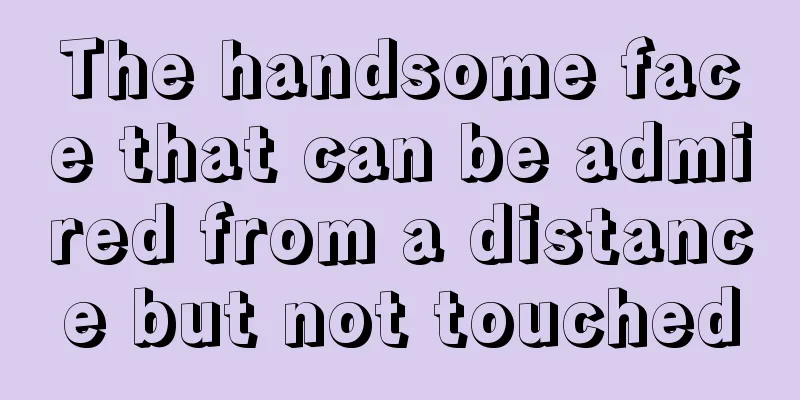 The handsome face that can be admired from a distance but not touched