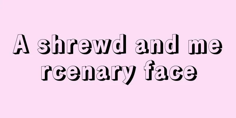 A shrewd and mercenary face