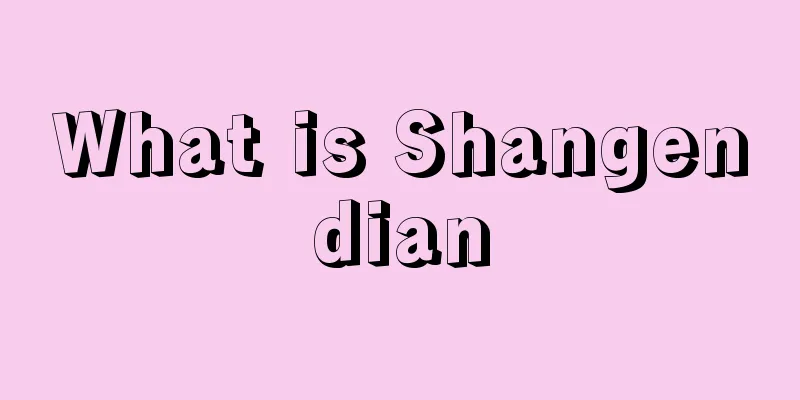What is Shangendian