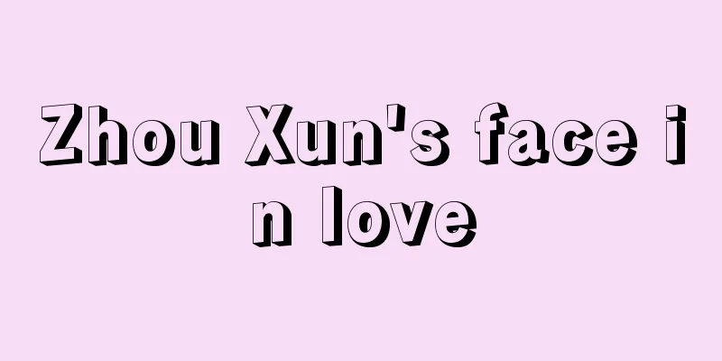 Zhou Xun's face in love