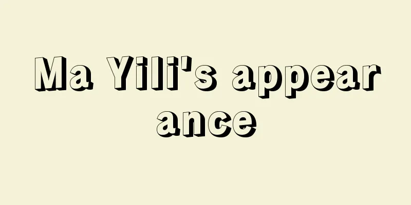 Ma Yili's appearance