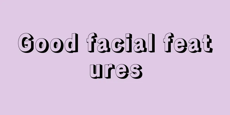 Good facial features