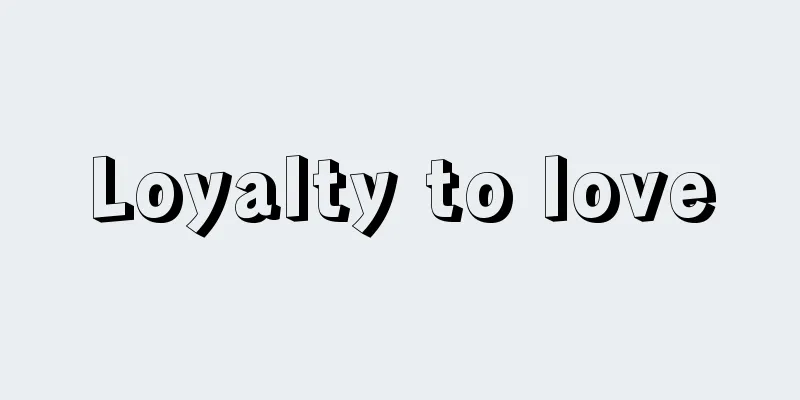 Loyalty to love