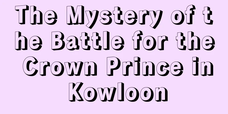 The Mystery of the Battle for the Crown Prince in Kowloon