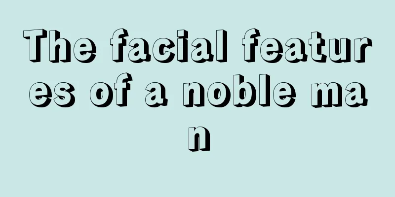 The facial features of a noble man