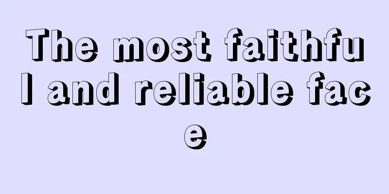 The most faithful and reliable face