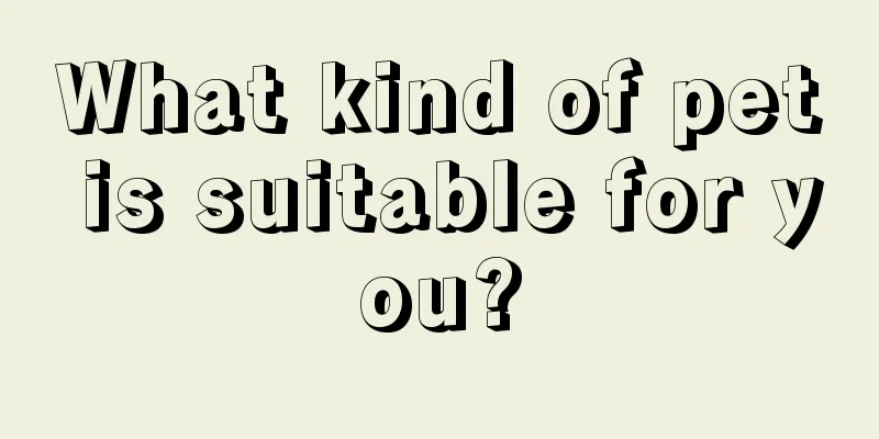 What kind of pet is suitable for you?