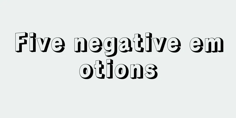 Five negative emotions