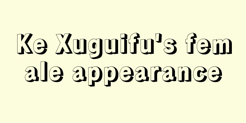 Ke Xuguifu's female appearance
