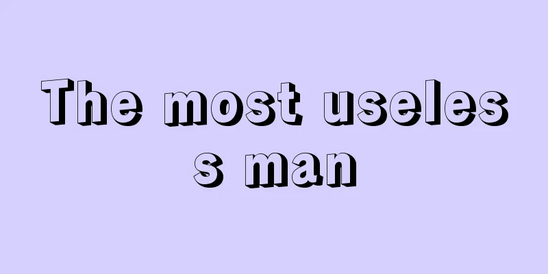 The most useless man