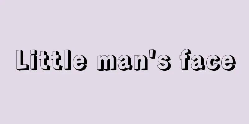 Little man's face