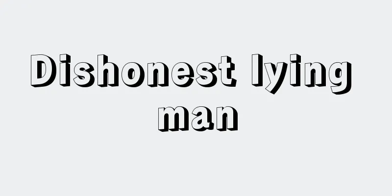 Dishonest lying man