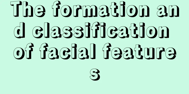 The formation and classification of facial features