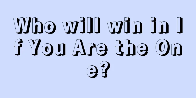 Who will win in If You Are the One?