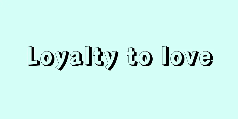 Loyalty to love