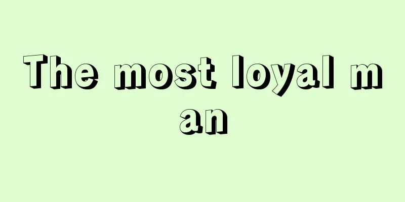 The most loyal man