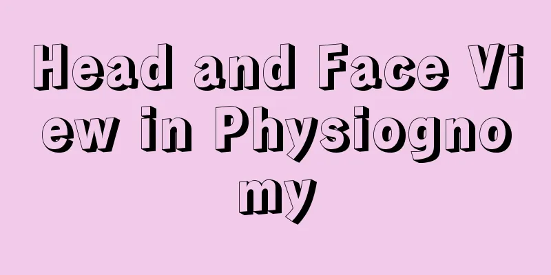 Head and Face View in Physiognomy