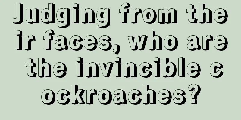 Judging from their faces, who are the invincible cockroaches?