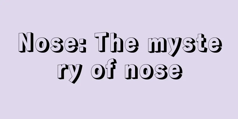 Nose: The mystery of nose