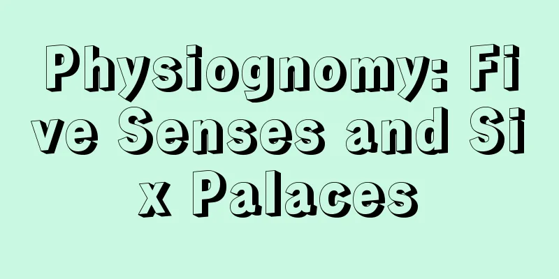 Physiognomy: Five Senses and Six Palaces