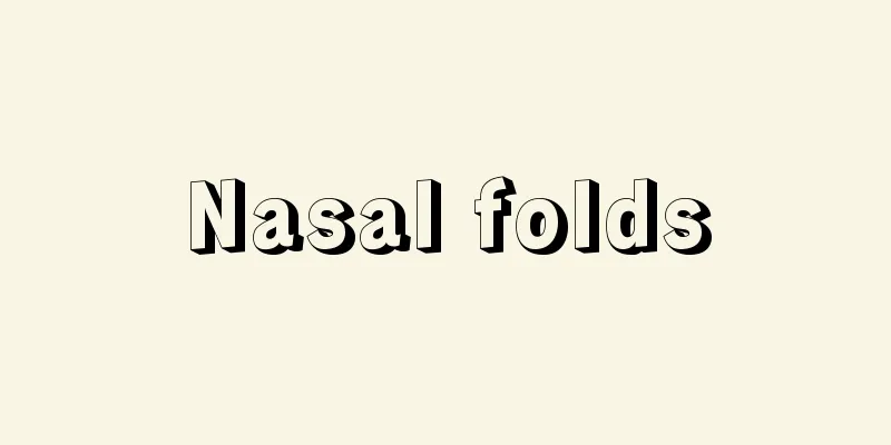 Nasal folds