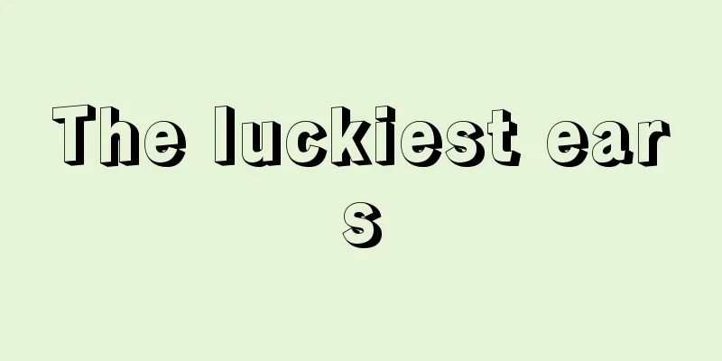 The luckiest ears