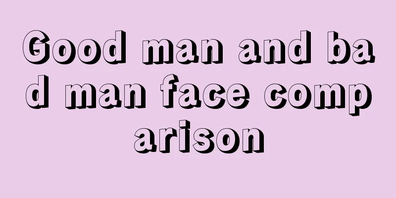 Good man and bad man face comparison