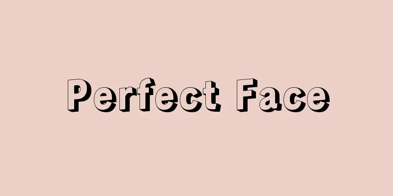 Perfect Face