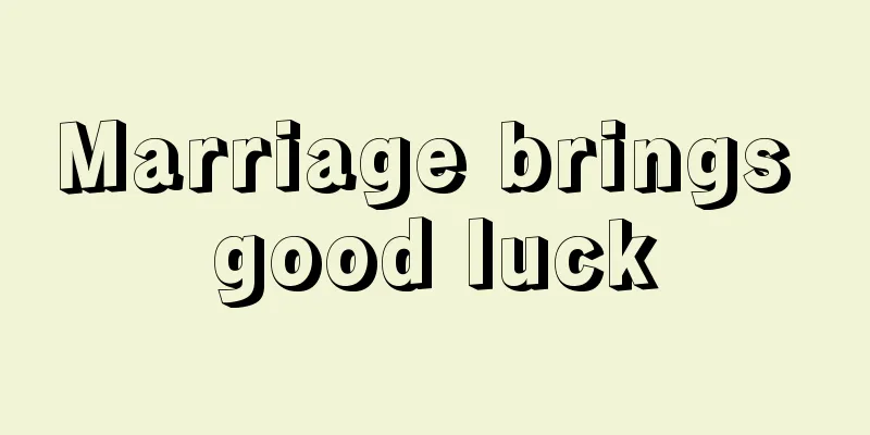 Marriage brings good luck